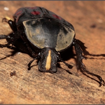 Education Insights: March  2024